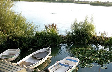 Recreation area near Erding